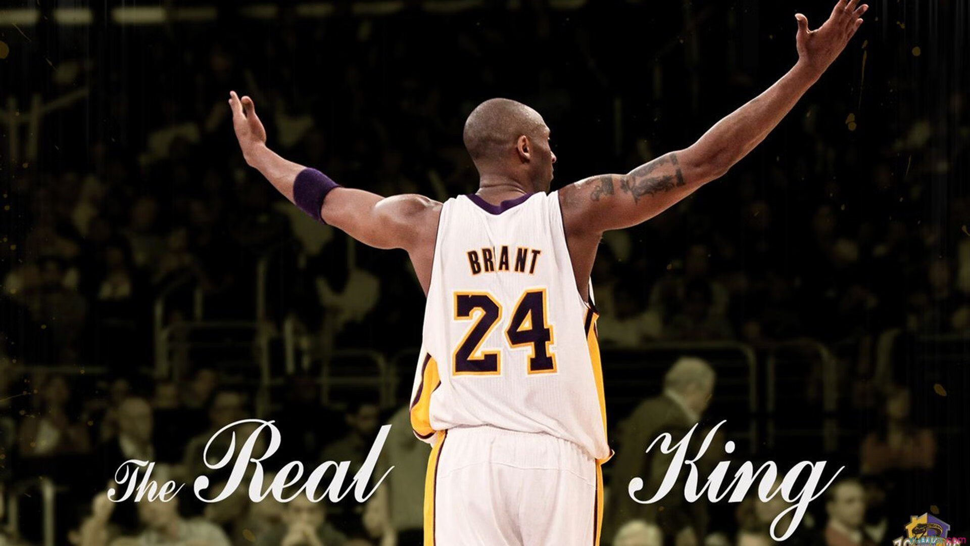 掌控者恩比德与末节风暴,浙江队如何偷走开拓者的胜利