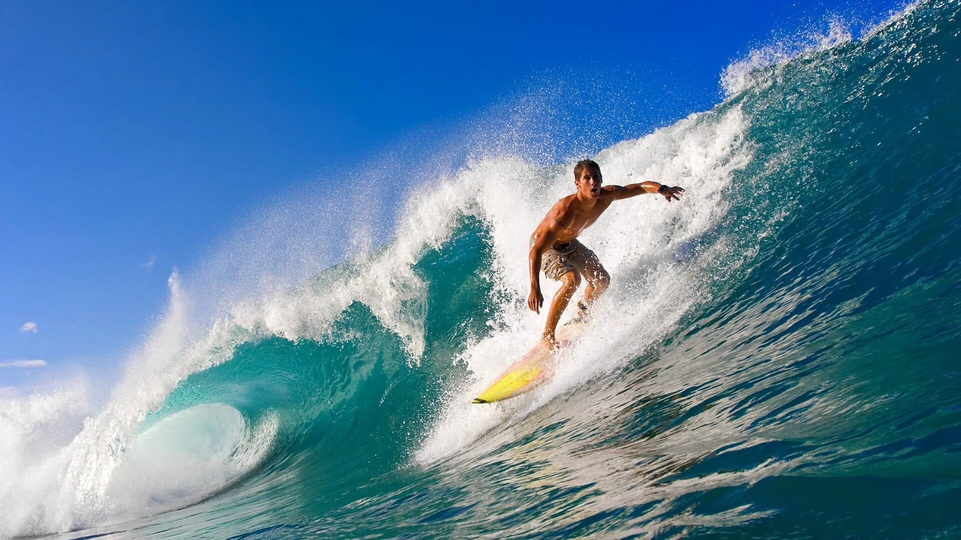 森林狼的坚韧与塔图姆的统治,跨越体育的胜利哲学